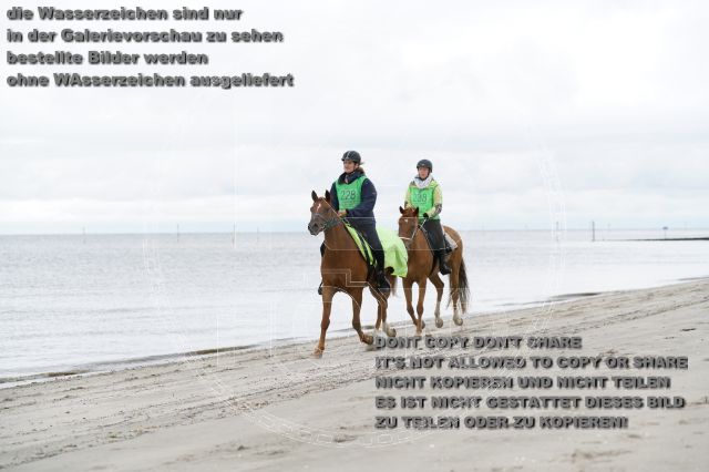 s_K3F04717.JPG